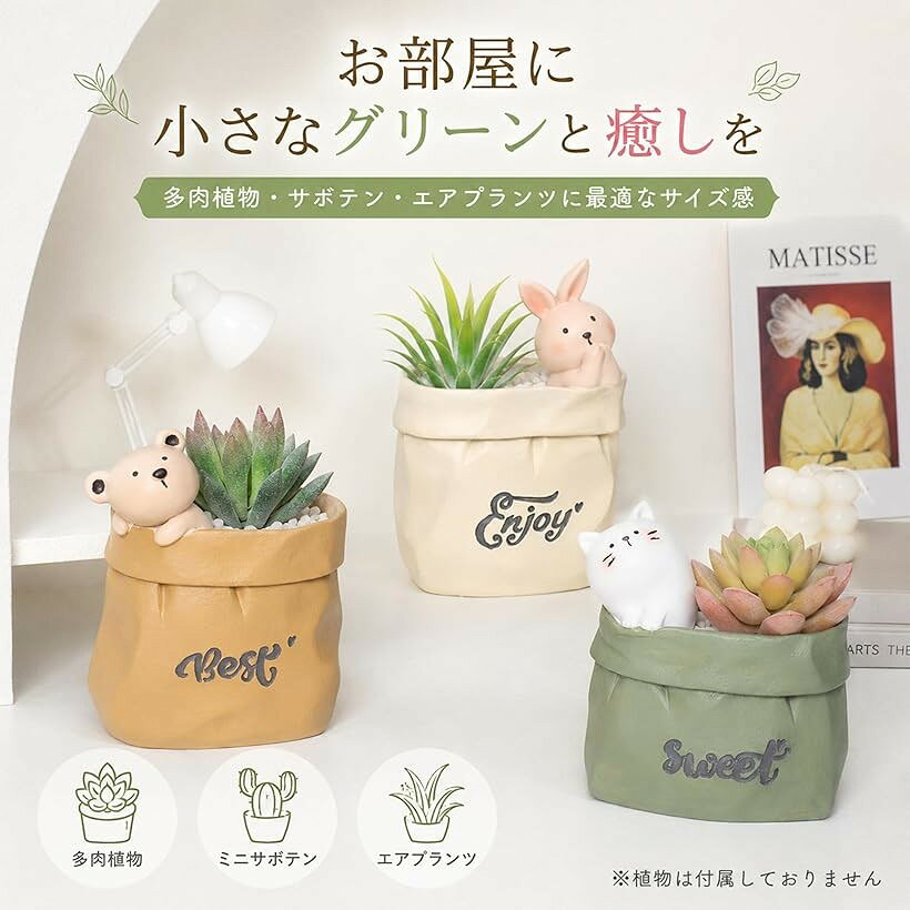 ホリックのアニマル 多肉植物 ポット 鉢 寄せ植え ミニ サボテン 観葉植物 プランター 容器 かわいい 小物入れ 動物 植木鉢 フラワーポット インテリア (クマ, 高さ7cmx横幅9cmx奥行11cm)｜アングル3
