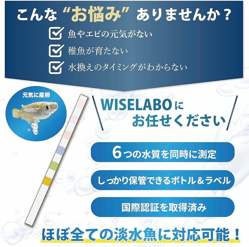 �ڳ�ŷ��󥭥�1�����ޡۥ������ꥦ�� ����ƥ��� 6in1 150��ʬ ������� ���å� ���� ��� ����� ��� Ǯ�ӵ� ø�������߷� �磻����� (��)