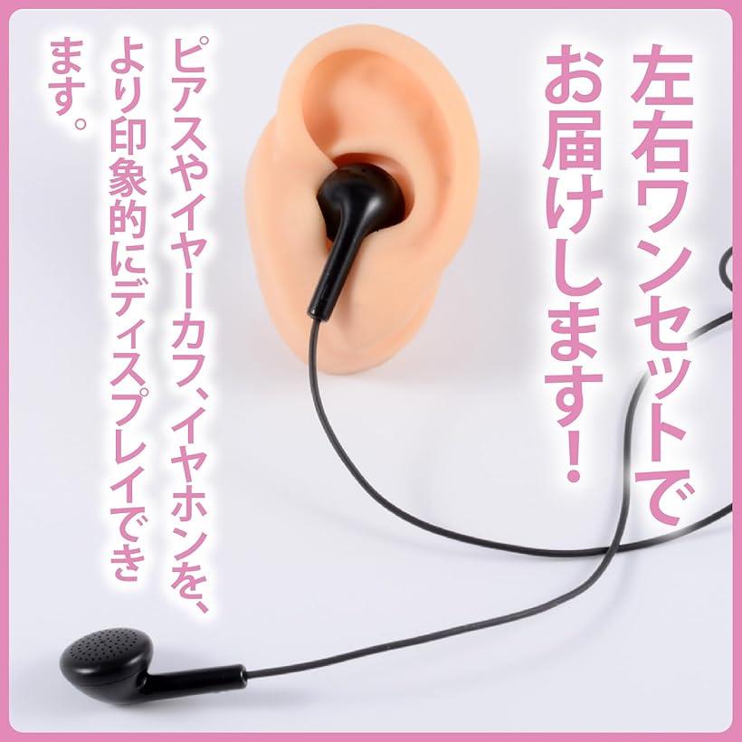 シリコン耳 模型 左右セット 耳モデル 両耳模型 耳つぼ リアル耳模型 人工 白 (白)