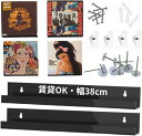 レコード レコードラック 壁 幅38cm 壁掛け 賃貸可能 選べる取付方法 ピンorネジorテープ 石膏ボード 収納 アクリル TR1240 ブラック 2個(ブラック, 幅38cm)