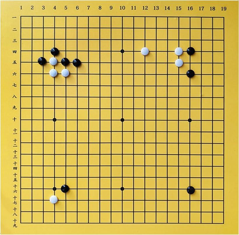 解説用 囲碁盤シート 19路盤 指導用 サークル 部活 大会 4cm碁石 ケース付き