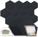 12枚セット 防音ファストラボ 吸音材 吸音パネル 密度200kg/m3 縦26cmx横30cm 厚さ9mm 虫ピン付属でかんたん DIY(4.ブラック, ヘキサゴン型)