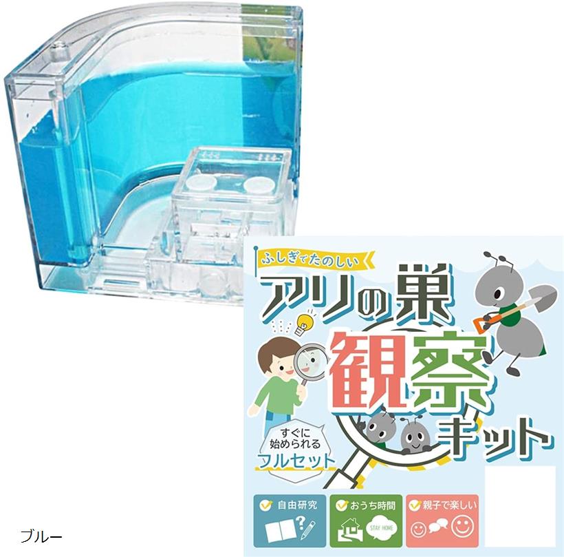 昆虫観察｜自由研究に！小学生向けのおすすめは？