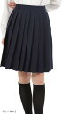 スクールスカート プリーツ 学生 制服 プリーツスカート 車ヒダ 女子校生 e210 ネイビー 48cm(ネイビー 48cm, S)