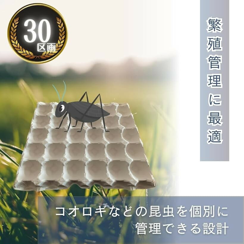 �������� ���� 30�� ���� ������ �˿��� ������ ��ȥ졼 ��ѥå� (10�ĥ��å�, 30cmx30cm)