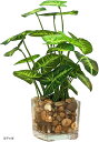 インテリア用フェイクグリーン 常緑樹風 造花 観葉植物(グリーン, 普通)(3)