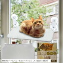 【楽天ランキング1位入賞】2024年モデル 猫 窓用 ハンモック 強力 吸盤 大型 カバー2枚入り ファスナー式 組立簡単 洗濯可能 折畳み オールシーズン対応...