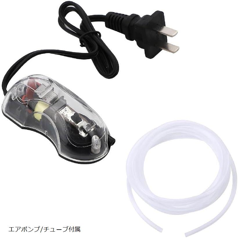 水槽 投げ込みタイプ スポンジフィルター ろ過 アクアリウム 酸素 供給 エアレーション エアポンプ 吸盤付属 大型 水質 交換 エアー 環境管理 2個セット(クリア, エアポンプ/チューブ付属)