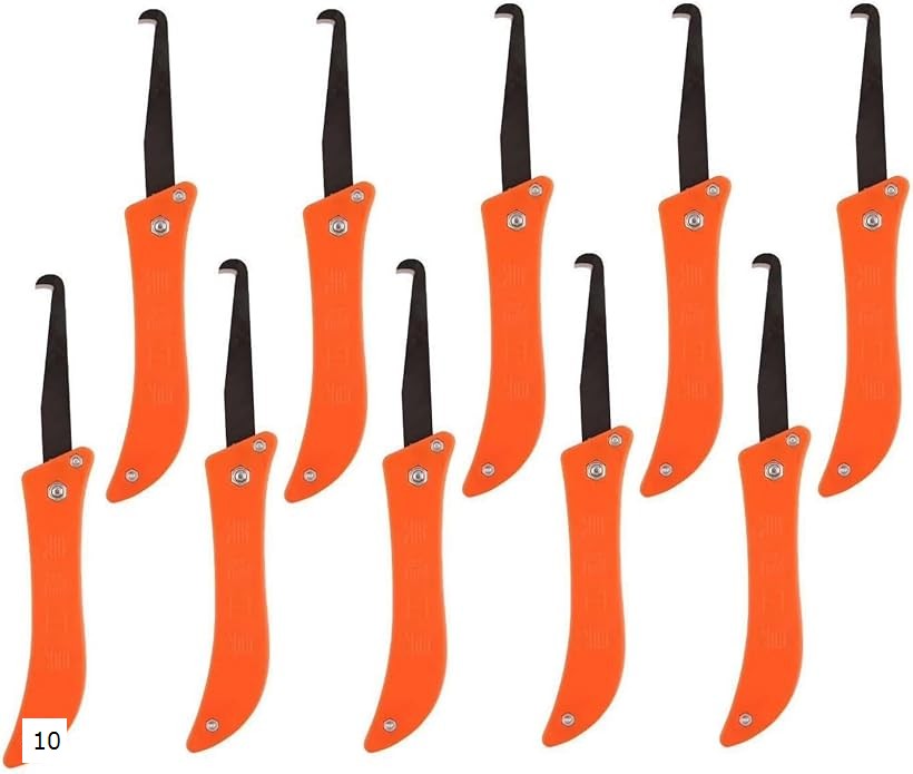 ������ �����륿���� ���� �� �佤 �ݽ� ���� 10�ܥ��å�