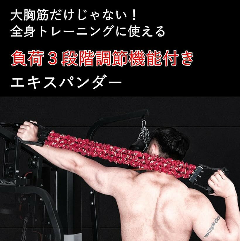 ホリックのエキスパンダー 大胸筋 広背筋 エクササイズ トレーニング 中負荷 75LB 34kg (中負荷75LB レッド)｜アングル3