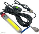集魚灯 USB給電 調光式 LED ライト 30g 重り付 20W IP68 防水 5m 夜釣り 海釣り 水中(ホワイト)