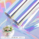 フラワー ラッピング 花束 包装紙 ギフト レインボー 50cm幅x9M 2本セット(レインボーセロハン, 50cm幅x9M、2本セット)