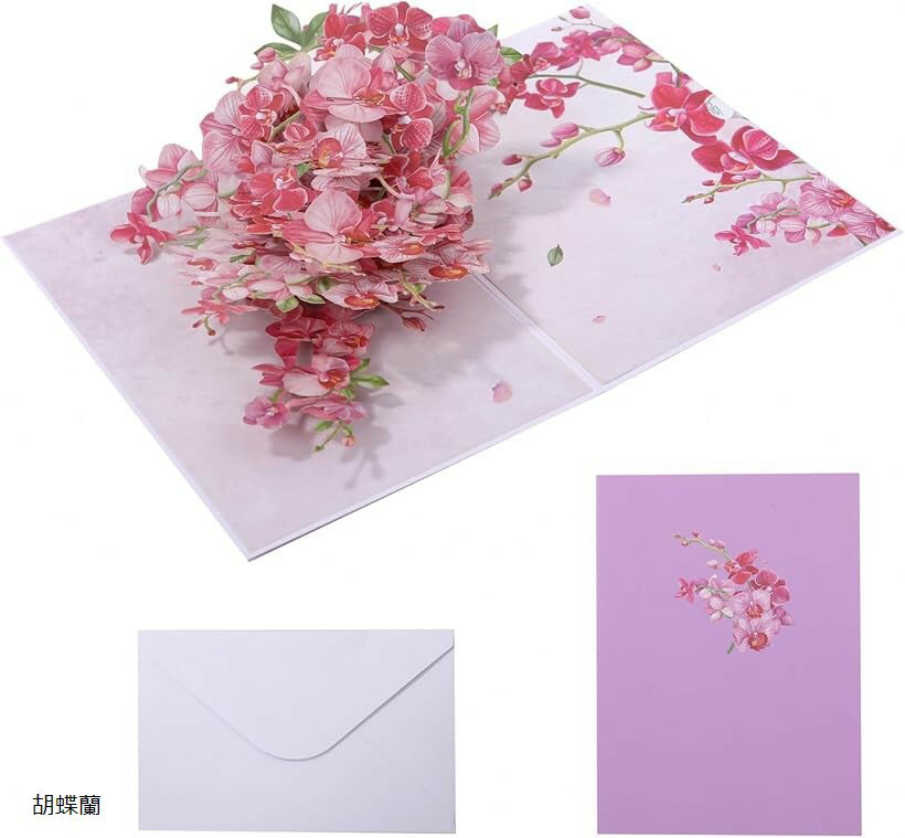 Ω ꡼ǥ  å ӽФ ݥåץå 3D  ˤ 󤻽  ǰ (ĳ)