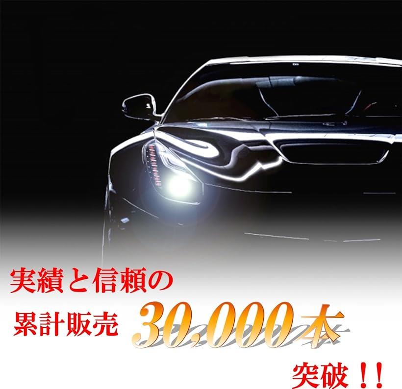 Customize カスタマイズ H1 35W HIDバルブ 交換用 6000K 2個セット 4589932741893