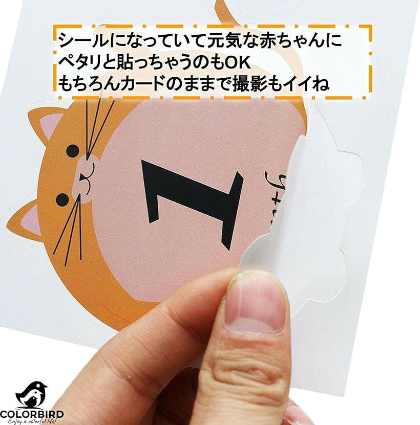 月齢カード 12枚 マンスリーカード ベビー 育児日記 3