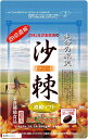 サジー20倍濃縮ソフト 31日分 / 62粒 ビタミンC アミノ酸 鉄分 沙棘 日本製/栄養補助食品(62粒 (x 1))