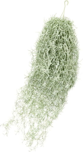 人工観葉植物 フェイクグリーン 造花 スパニッシュモス 吊り下げ インテリア 壁掛け 1個 約80cm 人工観葉植物 フェイクグリーン 造花 スパニッシュモス 吊り下げ インテリア 壁掛け 1個 約80cm