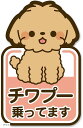 MKE 乗ってます ステッカー 雑種 ミックス犬 ドッグインカー 日本製(チワプー)