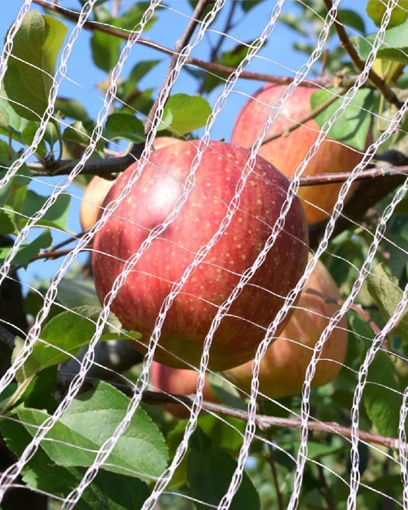 【楽天ランキング1位入賞】防鳥ネット 2mx5m 鳥除け カラス 鳩 鳥害対策 鳥よけネット 防獣網 透明色 (..