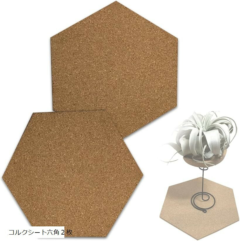 エアプランツ ホルダー スタンド 観葉植物 本物 チランジア コルク へご (茶色, コルクシート六角2枚)