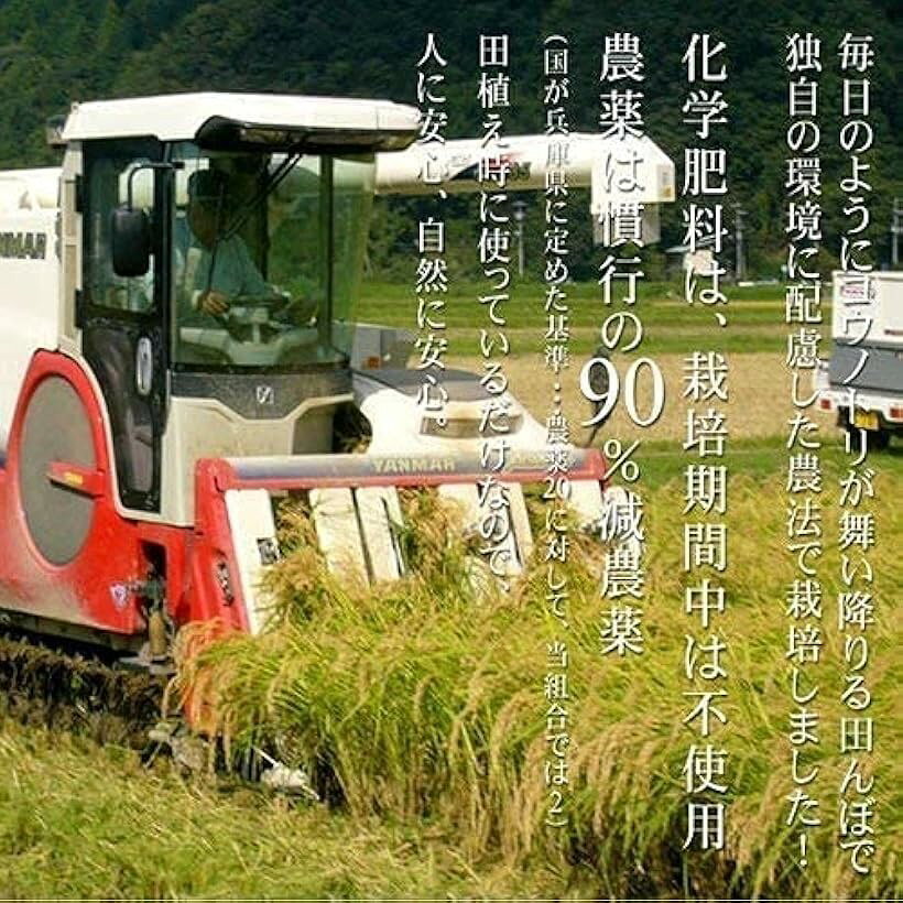 玄米 10kg こしひかり 特別栽培米 コウノトリ舞い降りるお米 循環農法 令和6年産 ...
