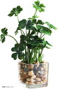 観葉植物 フェイク フェイクグリーン 造花 インテリア(四葉のクローバー)