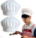 調理師推奨 品質検査済大人兼用 ゴムのあとつかない 給食帽子 コットン100% 54cm~60cm 品質検査済み(ホワイト, 54.0-60.0 cm)