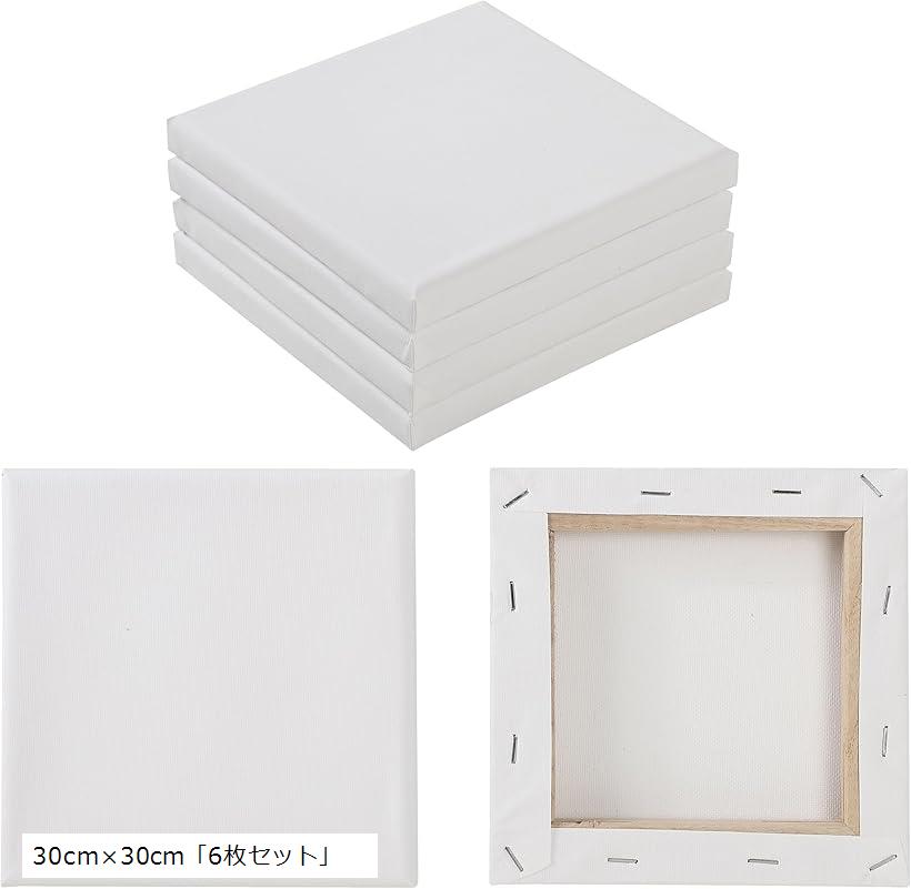 キャンバス ミニキャンバス 正方形 綿100% 下地処理済み アシッドフリー 油絵 水彩画 画材 美術 30cmx30cm6枚セット (ホワイト)