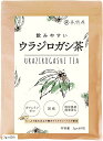 飲みやすい ウラジロガシ茶 3gx60包 国産 ティーバッグ 水出し可能 ノンカフェイン 国内製造 農薬残留検査実施済み(3gx60包)