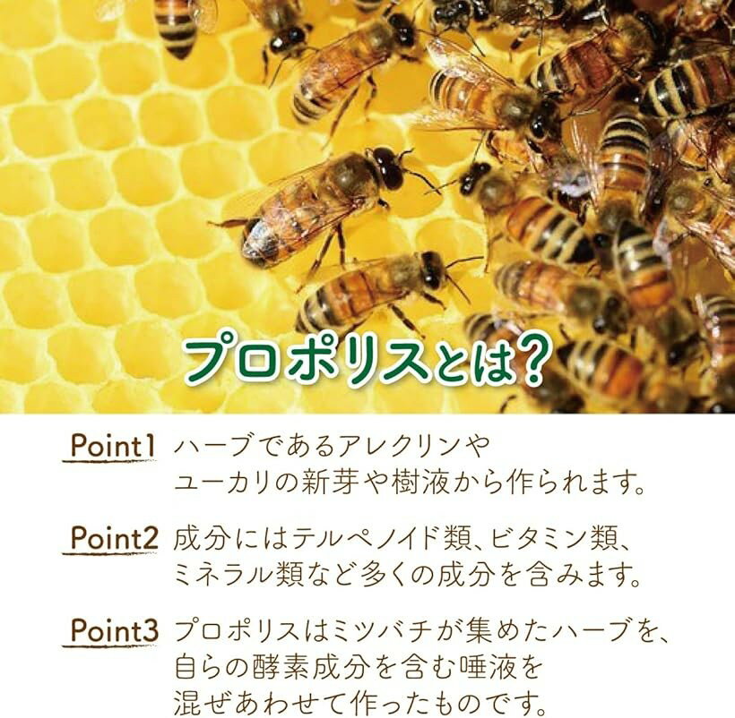 高濃度プロポリス配合 プロポリスキャンディー ...の紹介画像2