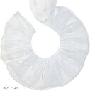 オーガンジー フリル レース トリム 生地 幅10cm 光沢 透ける 無地 装飾 縁取り(ホワイト, 2m)
