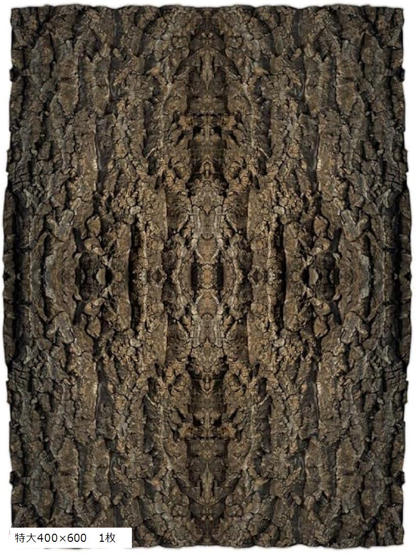 コルク樹皮 大きい 着生 ビカクシダ 蘭 エアプランツ 爬虫類 観葉植物 本物 ヘゴ板 (特大400mmx600mm　..