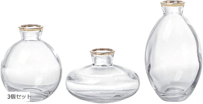 ガラスの花瓶 透明 金縁装飾 ミニ花器 一輪挿し ガラスボトル フラワーベース ガラスベース(3個セット)