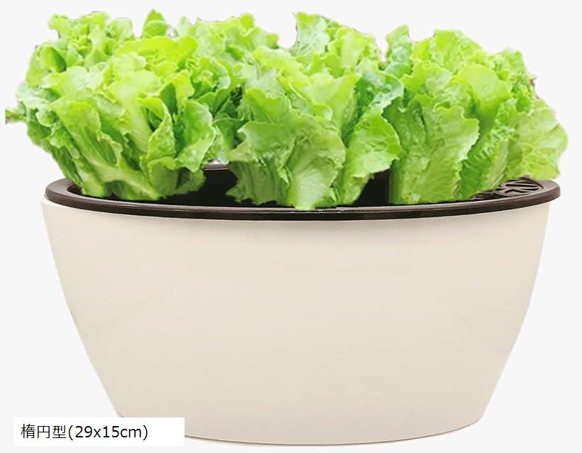 植木鉢 プラスチック おしゃれ 29x14cm(楕円型(29x14cm))