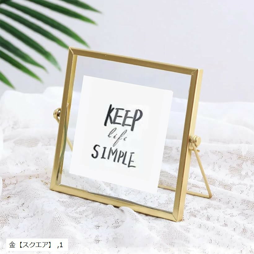 �ǥ�����ե��ȥե졼�� �̿�Ω�� ��°�ե졼�� �̲� �衼���ԥ��� (������ɡ֥���������)