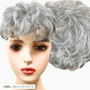 部分ウィッグ かつら ヘアピース ポイントウィッグ 白髪 グレイヘアー 女性 レディース 人工毛 ショート 前髪 ストレート 前髪ウィッグ O型つむじ トップピ...