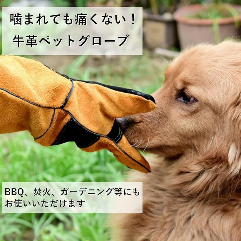 �ڥåȥ������� �� ���ߤĤ��ɻ� ǭ ���ڤ��к� �����ȥɥ� ��� ���� (�����, 60cm)