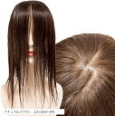 部分ウィッグ 前髪未カット センター分け 真ん中分け ヘアピース かつら 女性 レディース 人毛100% ストレート 分け目 シルク セミロング ナチュラルウィ...