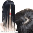 部分ウィッグ 前髪未カット センター分け 真ん中分け ヘアピース かつら 女性 レディース 人毛100% ストレート 分け目 シルク セミロング ナチュラルウィ...
