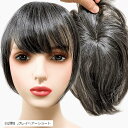 部分ウィッグ かつら ヘアピース ポイントウィッグ 白髪 グレイヘアー 女性 レディース 人工毛 ショート 前髪 ストレート 前髪ウィッグ O型つむじ トップピ...