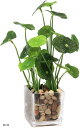 観葉植物 フェイク フェイクグリーン 造花 インテリア(蓮の葉)