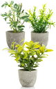 October1st フェイクグリーン 観葉植物 人工 3点セット 卓上用 光触媒加工 造花 インテリア 小物 ミニ indoor plants 人工植物 fa...