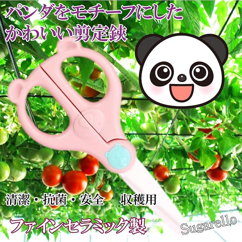 ���������Х��� ����ѤϤ��� ����ߥå��� �ѥ���η� ����ϥ��� ����å��դ� ���Ӥʤ� ���� ���� ������ �������� ����Ф��� �ߺ� �����ǥ˥� �̼� �ԥ� (�ԥ�)