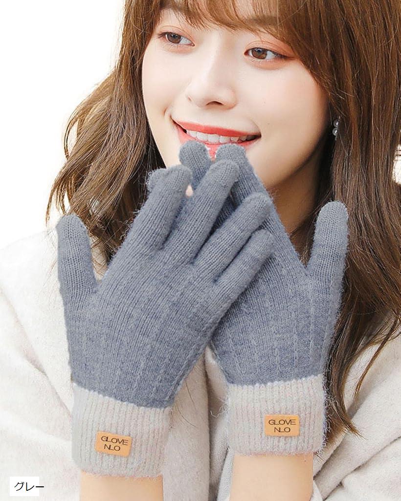 手袋レディース 防寒手袋 スマホ対応 保温手袋 暖かい ふんわり 自転車通勤 通学 プレゼント グレー (グレー, Free Size)