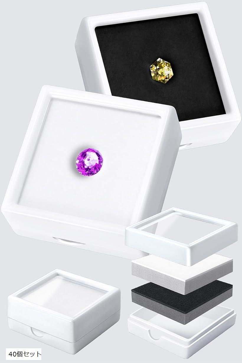 ルースケース 4cm 白黒 2段クッション プラケース 天然石 宝石箱 裸石 収納 ジュエリーケース ディスプ..