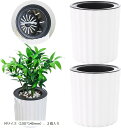 互換品 給水プランター 自動給水プランター 不在時の水やり 給水器 植木鉢 留守 旅行 植物を枯らさない 園芸 観葉植物(ホワイト, Mサイズ(150x140m...
