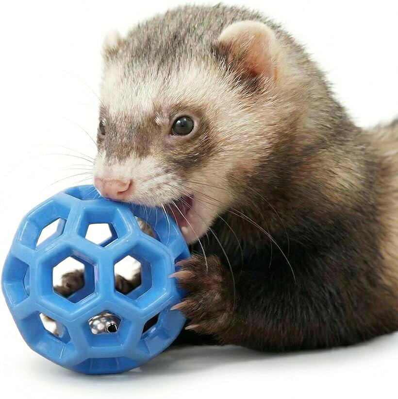 鈴の音に興味津々。 フェレット おもちゃ ボール 小動物 直径5cm 鈴入り 音が鳴る TPRラバー製 追いかけ遊び 犬 猫 (ブルー)