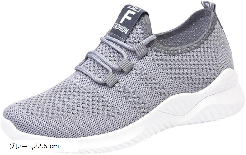 レディース スニーカー 素早く履ける スポーツシューズ カジュアルシューズ トレーニング 軽量 通気 通勤通学 日常用 (グレー, 22.5 cm)