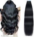 人毛 シールエクステ TAPE hair レミーエクステ カラー ウィッグ エクステンション 10本 16inch 40cm(1#, 16inch 40cm)