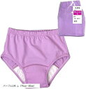 失禁 尿漏れ パンツ 失禁ショーツ 女性 レディース 吸水 尿漏れパッド 失禁用 尿失禁 下着 吸収量100cc 尿もれ対策 L 70cm~80cm(パープル1枚, L(70cm~80cm))